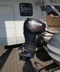 Sacs evinrude e-tec