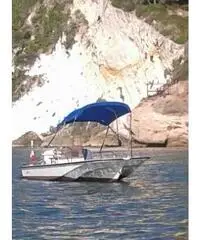 Boston whaler 15 sport