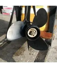 motore evinrude 4 tempi