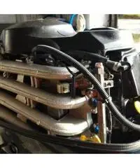 motore evinrude 4 tempi