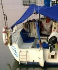 BARCA A VELA ELAN 19