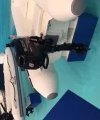 Motori Fuoribordo Suzuki