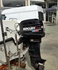 BARCA M. 4.50 Plastosud Delfino