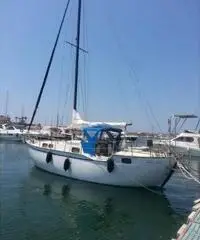 Barca a vela Chirò 31