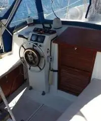 Barca a vela Chirò 31