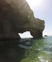 NOLEGGIO BARCA GOMMONE ESCURSIONI SICILIA AVOLA SKIPPER TOUR