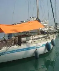 Barca a vela Fibago CX 33