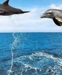 #MOTOSCAFO 19 METRI A #NOLEGGIO IN #CROAZIA DALLA NORA NAUTICA