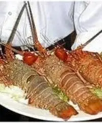 #MOTOSCAFO 19 METRI A #NOLEGGIO IN #CROAZIA DALLA NORA NAUTICA