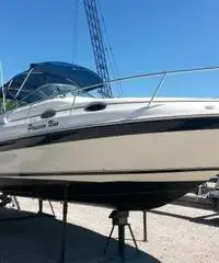 Fantastico Sea Ray 250