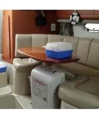 CHAPARRAL 290 signature