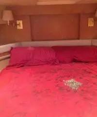 DALLA PIETà 43 Fly Asterion