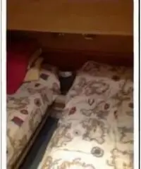 DALLA PIETà 43 Fly Asterion