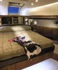 FAIRLINE Squadron 65