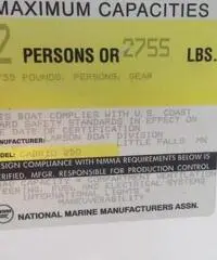 LARSON BOATS Cabrio 250