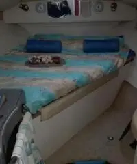 LARSON BOATS Cabrio 260