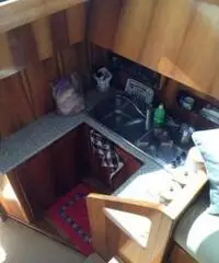 PIANTONI EVOLUTION 39