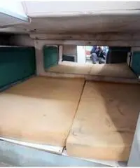 REGAL MARINE 290 COMMODORE