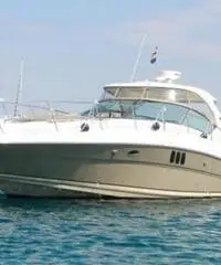 SEA RAY BOATS 455 SUNDANCER