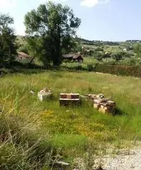 Terreno in Vendita a 30.000