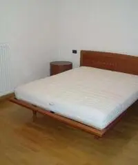 Appartamento in Affitto 55mq