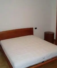 Appartamento in Affitto 55mq