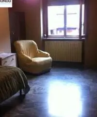 Affitto Appartamento a Campobasso