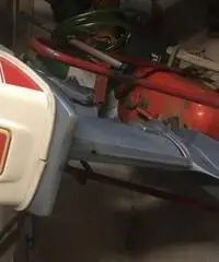 MOTORE FUORI BORDO EVINRUDE