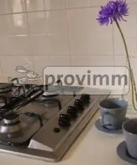 Centro città: Vendita Bilocale in Via Anita Garibaldi, 2