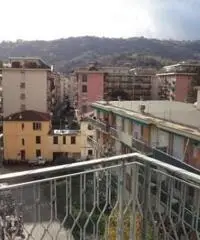 Vendita Bilocale in Via Rizzo