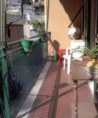 Vendita Bilocale in Via Torre del Menegotto