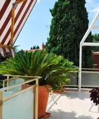 Vendita Attico in Via Franco Norero