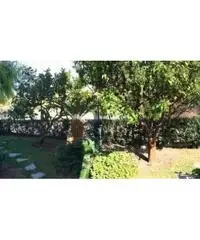 Vendita Trilocale in Corso Giuseppe Mazzini