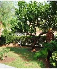 Vendita Trilocale in Corso Giuseppe Mazzini