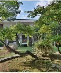 Vendita Villa in Strada Solaro