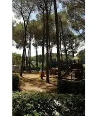 APPARTAMENTI - CIVILE ABITAZIONE - ROSIGNANO MARITTIMO