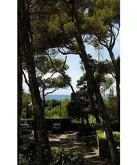 APPARTAMENTI - CIVILE ABITAZIONE - ROSIGNANO MARITTIMO