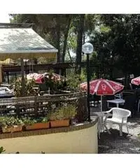 APPARTAMENTI - CIVILE ABITAZIONE - ROSIGNANO MARITTIMO