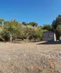 Villa in vendita a Capoliveri