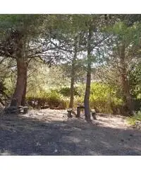 Villa in vendita a Capoliveri