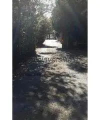 Appartamento in vendita a Massarosa 112 mq