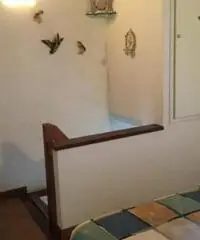 Casetta Forte dei Marmi