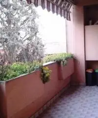 ECCELLENTE E RECENTE PLURILOCALE CON TERRAZZO - Appartamento in Vendita a Paderno Dugnano