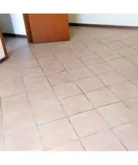 01-1019 RAVARINO Bilocale