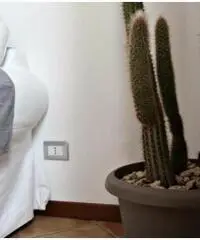 Vendita Trilocale in Via Macallè