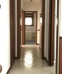 Vendita Trilocale in Via Francesco Guerrazzi