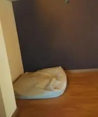 Cardito - Zona Slai C/O Pizzeria Fantasy -