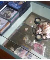 rifITI 019-SU250903 - Villa a schiera in Vendita a Giugliano in Campania - Varcaturo di 210 mq