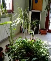 Attico vicino al centro di Colorno