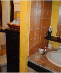 SPLENDIDO RUSTICO IN SASSO RISTRUTTURATO RECENTEMENTE E GIARDINO